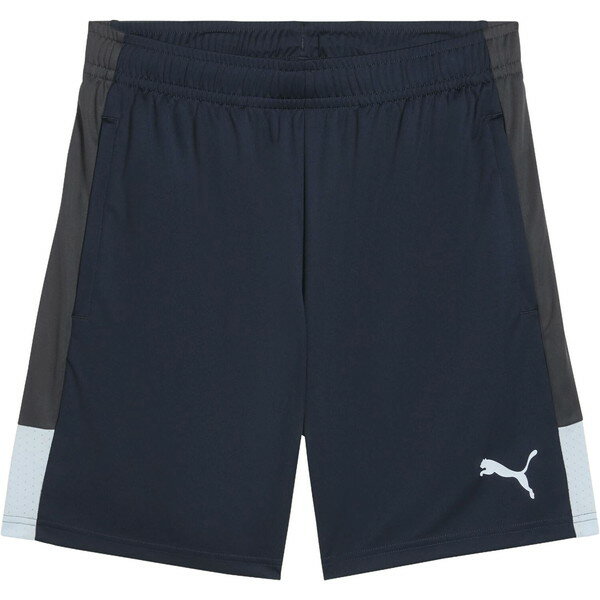 乐天商城 - PUMA プーマ INDIVILIGA TR ショーツ サッカー トレーニングハーフパンツ メンズ 660976-02