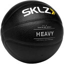 SKLZ XLY oXPbg{[ g[jO{[ wr[EGCg oXPbg 027368