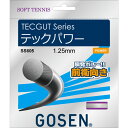 【最大2000円割引クーポン!枚数限定5/6 09:59まで】GOSEN ゴーセン テックガット テックパワー ナチュラル テニス ガット SS605NA「RS...