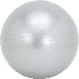 softouch（ソフタッチ）エクササイズボール バランスボール 65cm SO-BAL65 シルバー