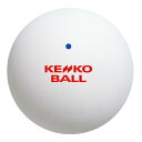 【最大2000円割引クーポン!枚数限定5/6 09:59まで】12個セット ナガセケンコー KENKO ケンコーテニスボール WT テニス ボール TSOWV ...