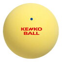 12個セット ナガセケンコー KENKO ケンコーソフトテニスボール イエロ- テニス ボール TSOYV ラフィートスポーツ