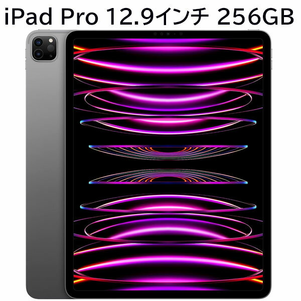 AppleåץiPadPro12.9Wi-Fi256GBڡ쥤MNXR3J/A¨Ǽ