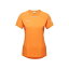 マムート MAMMUT Aenergy FL T-Shirt アジアンフィット Women 1017-04990-2259 サイズはユーロ表記