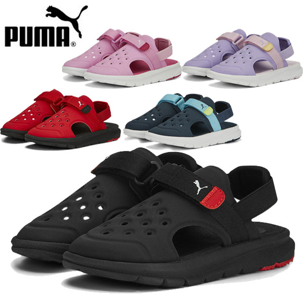 PUMA ס å ס ܥ  AC 17-21cm 塼 390692 ¨ǼP