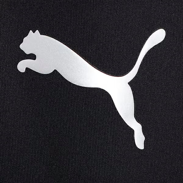 【最大2000円割引クーポン！枚数限定7/3 23:59まで】PUMA プーマ LIGA Baselayer L...