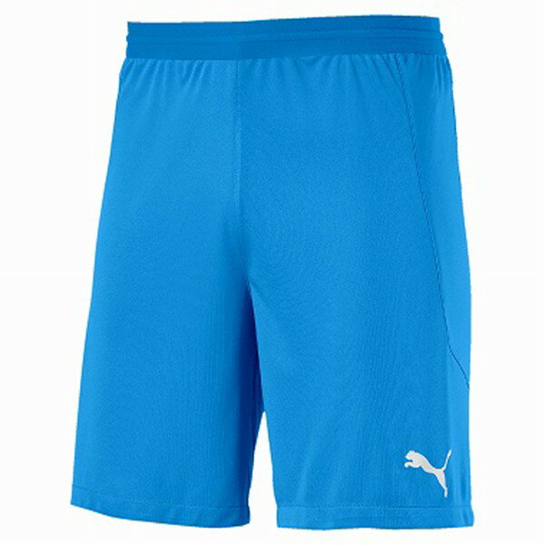 PUMA（プーマ） teamFINAL21 knit Shorts スウェットパンツ 704625-18 メンズ