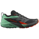 返品交換不可 クリアランス サロモン SALOMON SENSE RIDE 5 メンズ トレイルランニング シューズ L47698200 即納