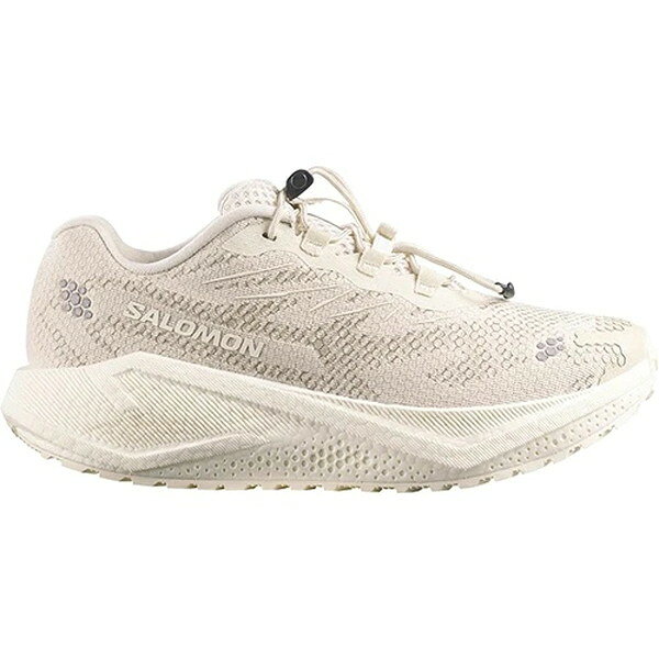 サロモン SALOMON AERO BLAZE 4 GRVL W レディース グラベルランニング シューズ L45401600