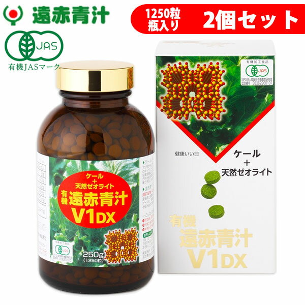 �����Ľ� V1 DX 1250γ �ӥ� 2Ȣ���å� ͭ���������ŷ�������饤�� 1510-2 ��ե����ȥ��ݡ���