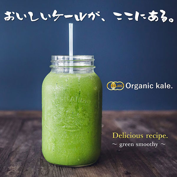 驚きの1杯 55円 100杯分 遠赤青汁 有機遠赤ケール 100g 2袋セット 品番: 2010-2 ラフィートスポーツ lafitte-10287387 Lafitte ラフィートスポーツ サンプル画像2