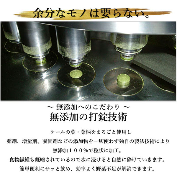 驚きの1杯 52円 200杯分 遠赤青汁 有機遠赤ケール 100g 4袋セット 品番: 2010-4 ラ...
