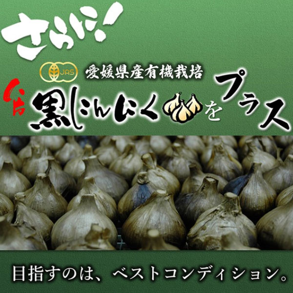 遠赤青汁 有機遠赤ケール SUPPER GOLD 100g 2210 ラフィートスポーツ