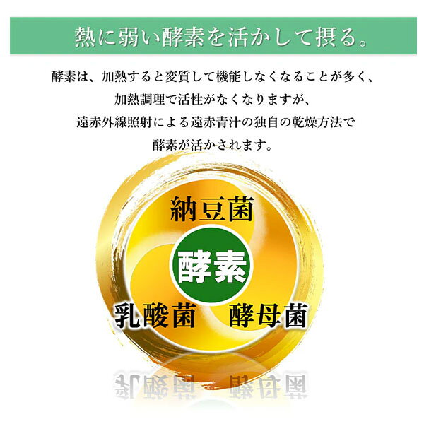 遠赤青汁 有機遠赤ケール SUPPER GOLD 100g 2袋セット 2210-2 ラフィートスポーツ