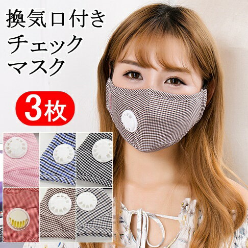 1-3日で出荷 3枚 換気口付き チェック柄 洗える立体マスク ファッションマスク 通気口 清涼 繰り返し使える送料無料
