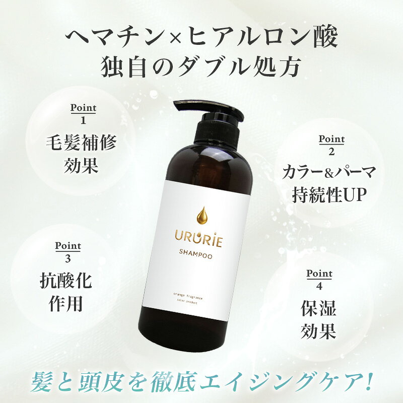 ヘマチン シャンプー トリートメント 美容室専売 ダメージ補修 髪質改善専門 500ml LAFONTE ラフォンテ くせ毛 ヒアルロン酸 日本製 サロン品質 洗い流す ヘアートリートメント ヘアケア ツヤ エイジングケア ダメージケア 高濃度 配合 - Image 2
