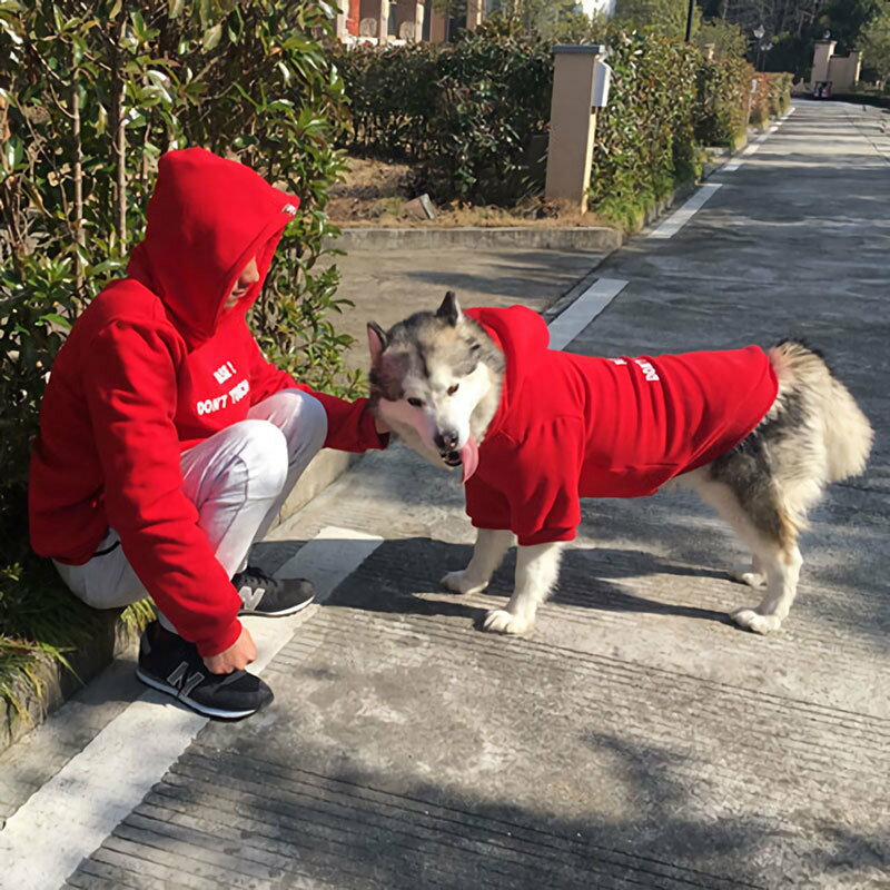 ����̵�� �ѡ����� �ץ륪���С� �ա����դ� ��ǥ����� ��� �˽����� �ȥåץ� �ȥ졼�ʡ� �ڥ� �ڥåȤȤ�·�� Ĺµ �ա����դ� �� �� �����奢��