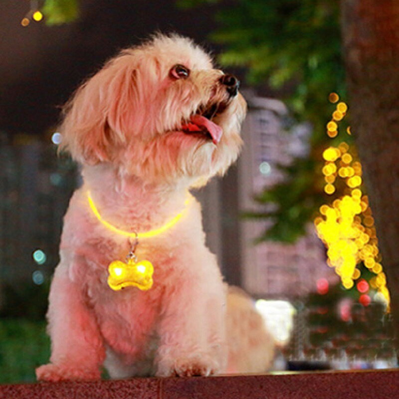 送料無料 ペット用アクセサリー 首輪アクセサリー LEDライト 光る 犬 ドッグ ペッ...