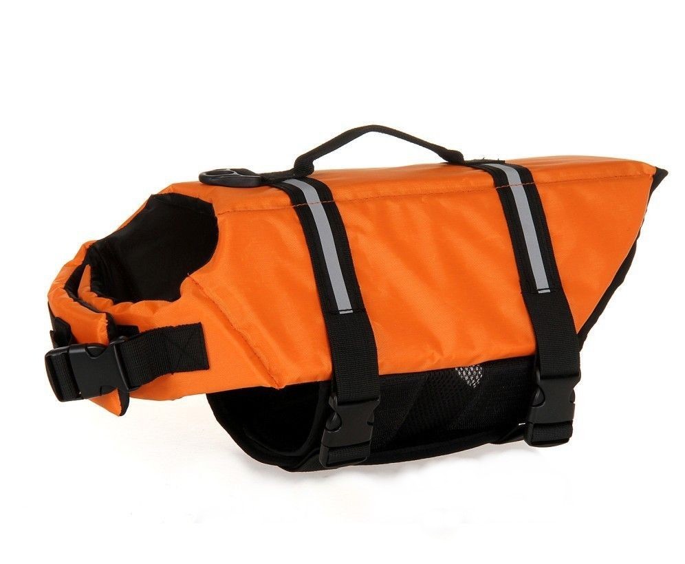 ����̵�� �饤�ե����� �ڥå��� �饤�ե��㥱�å� �� ǭ ��ͷ�� �� �� �����ȥɥ� ̵�� �ץ��� �º� ����ե� �ڥå����� �ڥåȥ��å�