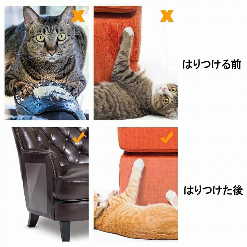 ����̵�� ǭ �ޤȤ� �ɻߥ����� �ݸ���� 2�祻�å� �ڥå����� �ĥ�� �Ҥä����� ���ե��� �� ���� �ե���� ���ƥå��� Ʃ�� �ĥ�������� �ͥ� �ڥåȥ��å� ���Ĥ�����
