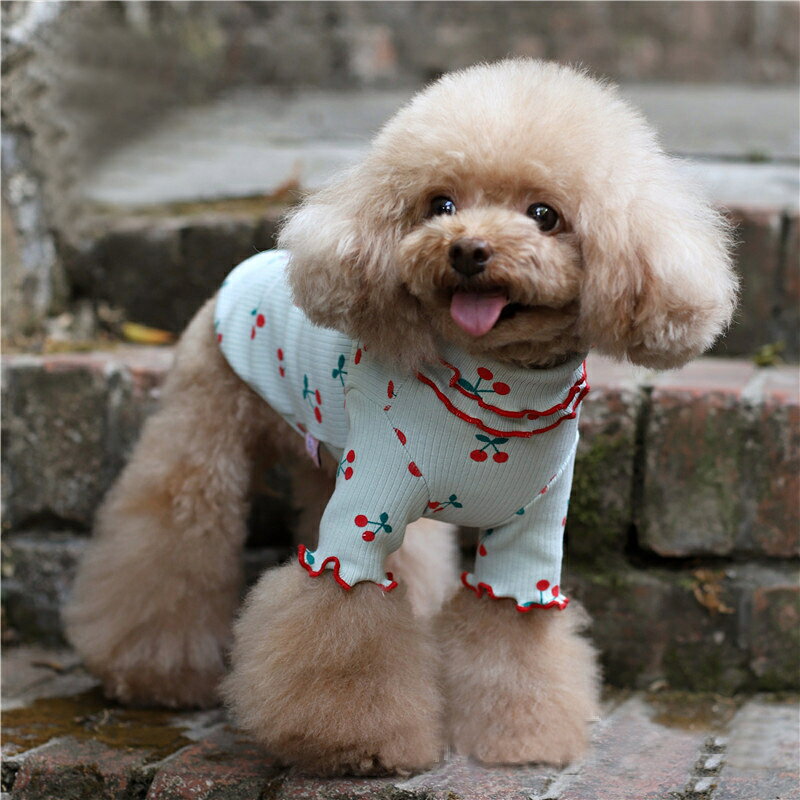 送料無料 ドッグウェア ペットウェア カットソー 犬の服 犬服 洋服 ペット用品 小...
