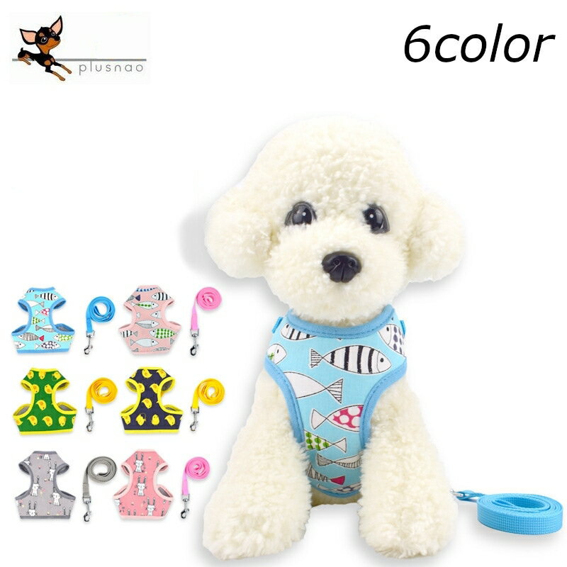 ����̵�� �ϡ��ͥ��꡼�� ���� ������� �ڥå� ������ �٥��� ���襤�� ���� ���� ����ե� ��å���