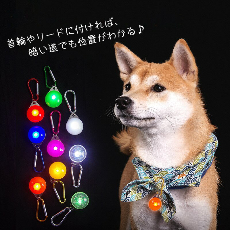 送料無料 首輪用チャーム お散歩ライト ペット用アクセサリー 犬用ライト イヌ 散...
