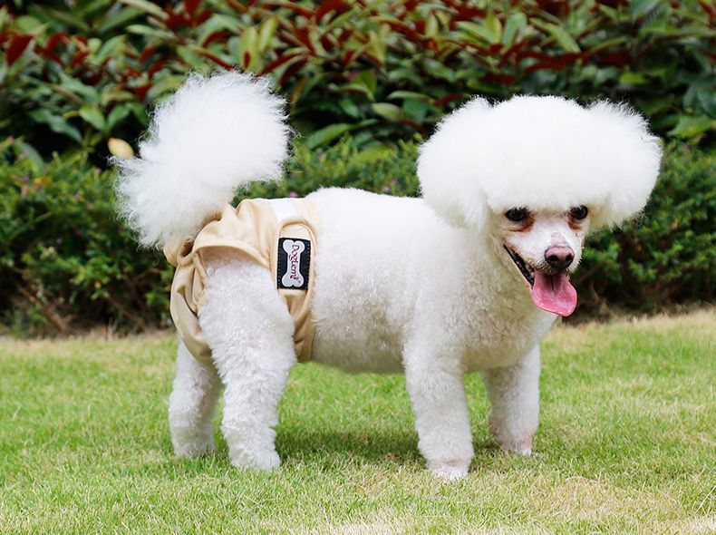 送料無料 犬用サニタリーパンツ マナーパンツ 生理用パンツ ドッグウェア おむつカバー マジック テープ 調節可能 マーキング防止 尿もれ対策 装着簡単 ズレ防止 ペット用品 犬の服 犬服 ペットウェア エチケット シンプル イヌ用 いぬ用 2