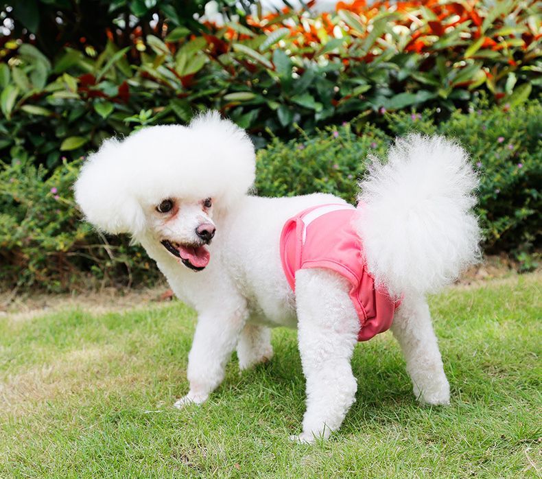 送料無料 犬用サニタリーパンツ マナーパンツ 生理用パンツ ドッグウェア おむつカバー マジック テープ 調節可能 マーキング防止 尿もれ対策 装着簡単 ズレ防止 ペット用品 犬の服 犬服 ペットウェア エチケット シンプル イヌ用 いぬ用 3
