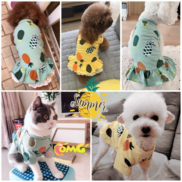 ����̵�� �ڥå��ѥ��ԡ��� �ڥå��ѥ��åȥ��� �ڥå���T����� �ڥåȥ����� �ڥå��� ���� �ɥå������� ���� ������ �淿�� �ͥ� ǭ µ���� �ȥåץ� �ץ륪���С� �ե�� �졼�� ���� �ѥ��ʥåץ� �ե롼�� �������� ���꡼�� ���襤�� ���塼�� �����奢�� ��