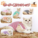 送料無料 ペットウェア キャットウェア 猫服 ネコ タンクトップ トップス ラウンドネック プルオーバー 犬の服 犬服 英字 ロゴ ボーダー柄 抜け毛対策 パイ...