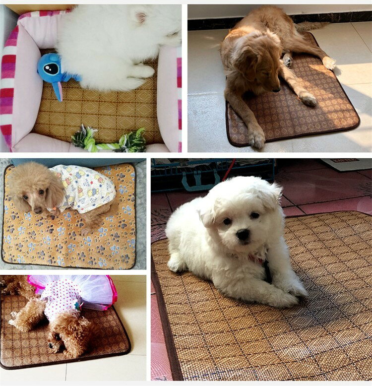 ����̵�� �ڥå��ѥޥå� ��С����֥� ξ�� ���� �ͥ��� S M L �뤵�к� �����к� ���� �ե����ޥå� �����륷������ ��ǯ �� �� �� ��