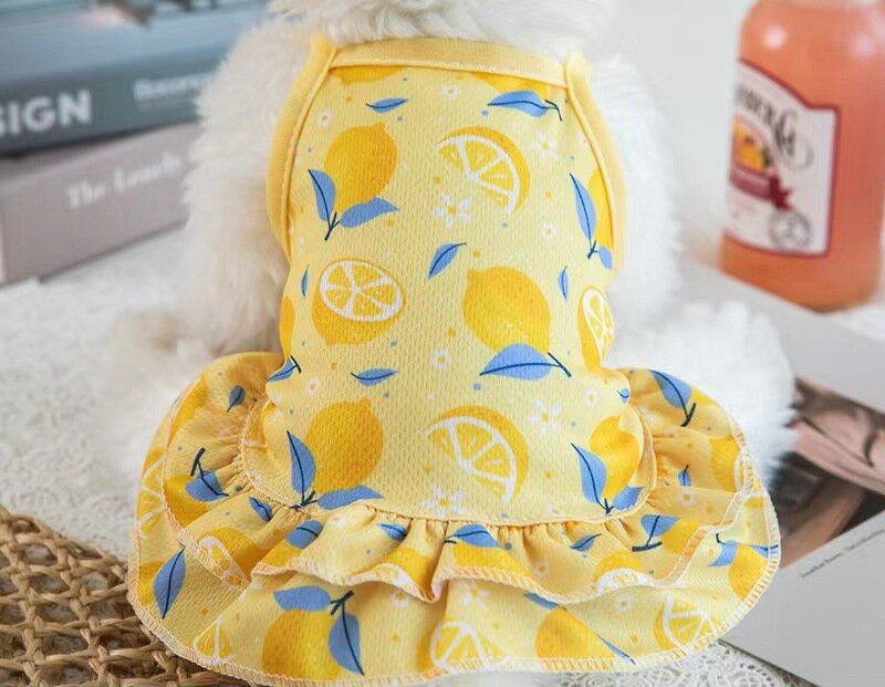 ����̵�� �ڥåȥ����� �ڥåȥ����� ���ԡ��� ����ߥ����� �ڥå��� ���� ǭ�� �Ρ����꡼�� �ե�� µ�ʤ� �� ���襤�� �� ����ե� ������� �ɼ� ���� ���Ф��� �ɥå� ����å� �ե�� �������� ���λ� �ˤλ� �ե롼���� ������ �淿�� ���֤� ����