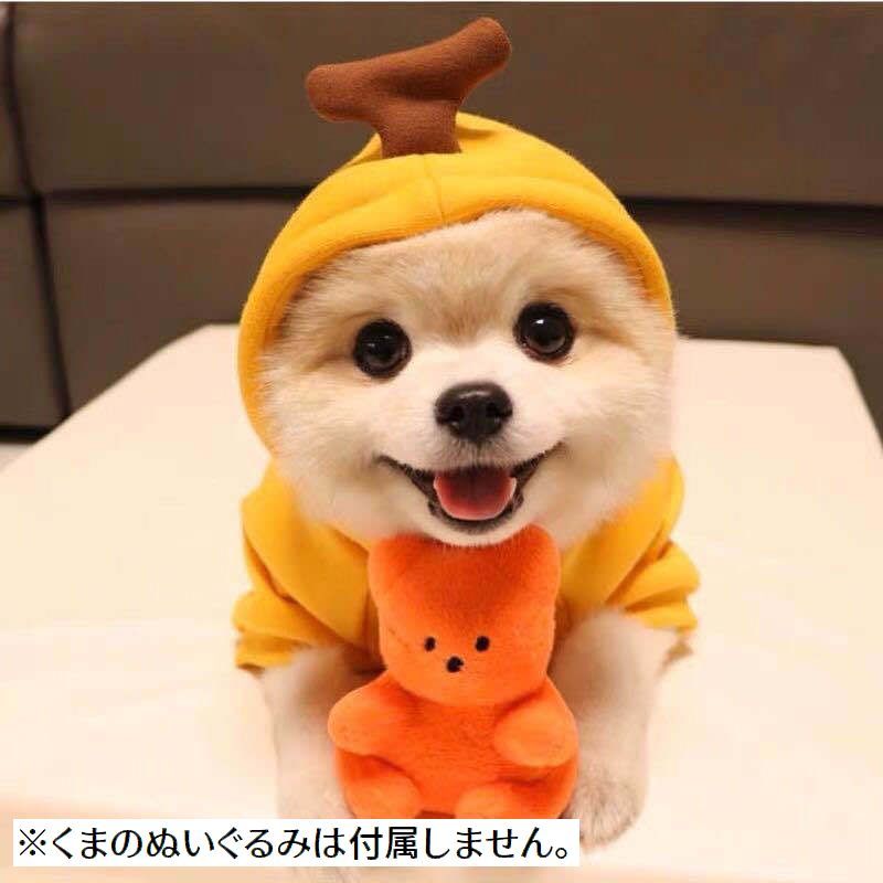 ����̵�� �ڥå��ѥ������塼�� �����ץ� ���� ������� �ɥå������� ���� �ڥå����� ����åȥ����� �ա����դ� �ȥ졼�ʡ� �ա��ǥ��� µ��� ΢���� ��ܥ� ������ ���Ф��� ���� ���󥹥��Ǥ� �̿����� ���� ���� ���襤�� �ե롼�� �Хʥ� �˥󥸥� �ϡ��� ������