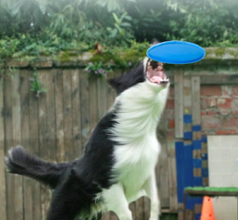 ����̵�� �ڥå��Ѥ������ �եꥹ�ӡ� ľ��18cm ľ��22cm ���� ������� �ȥ� ���餫�� ������ ���� �ꤲ�� ���ȥ쥹��� �������å� ͷ�� ��ư ����ץ� �ѻ����� ���� ������ �� �ɥå� ���� �ڥå����� �ڥåȥ��å�