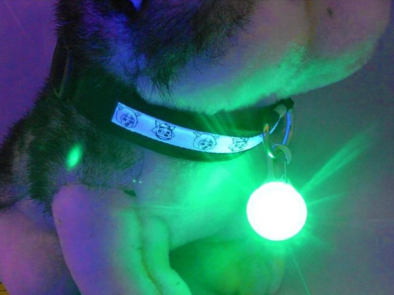 送料無料 ペット用アクセサリー 首輪アクセサリー LEDライト 犬 ペット用品 丸 チ...