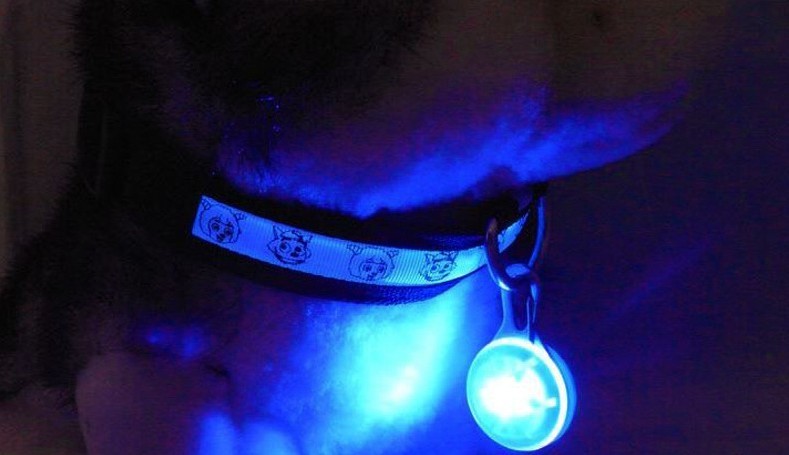 送料無料 ペット用アクセサリー 首輪アクセサリー LEDライト 犬 ペット用品 丸 チ...