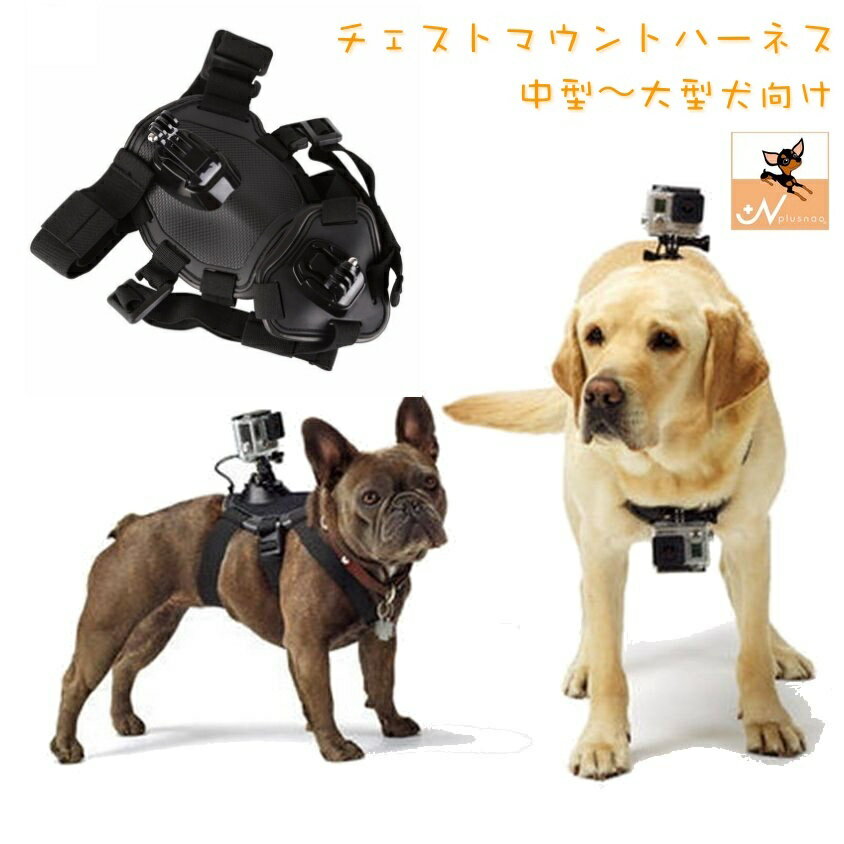 送料無料 犬用チェストマウントハーネス Gopro用 カメラ固定用ハーネス カメラ固定用胴輪 ドッグハーネス ドッグマウント 中型犬 大型犬 カメラ取り付けグッズ カメラアクセサリー チェストストラップ ペットグッズ 犬用品 いぬ用 イヌ用