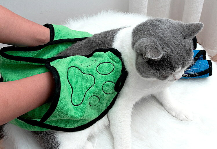 送料無料 ペット用タオル バスタオル ボディタオル 犬 イヌ いぬ 猫 ネコ ねこ 薄...