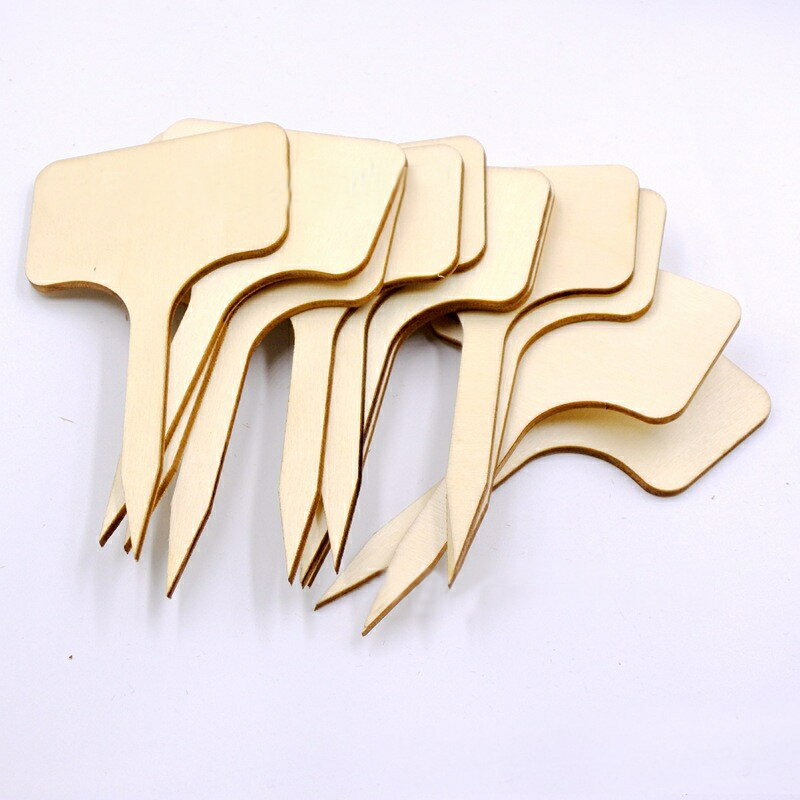 ����̵�� ����ѥ�٥� 50�ĥ��å� ���� T�� ��ʪ�ѥ��� ̾������ �ޡ����� �ե������� ���� ȭ���� �����ڱ� �� �����ǥ� ���� �͡��ॿ�� �� ��� ���襤�� �������