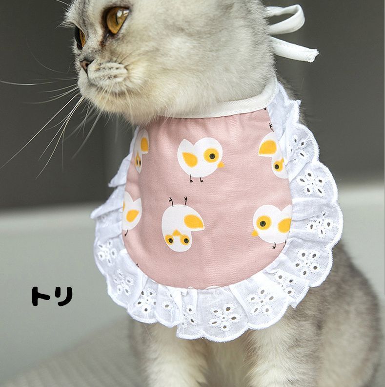 ����̵�� �ڥå��ѥ����� ����줫�� �ӥ� �ڥåȥ��å� �ڥåȥ��������꡼ ����åȥ����� �ɥå������� ǭ �� �졼�� ����Х�˭�� ���襤��