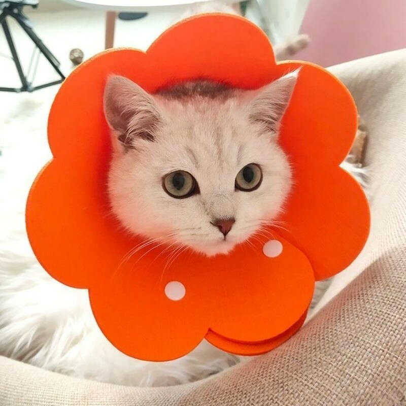 送料無料 エリザベスカラー 猫用 犬用 スナップボタン サイズ調節可能 簡単装着 傷...