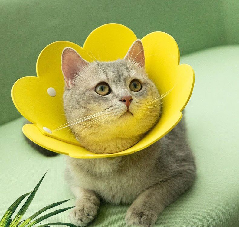送料無料 エリザベスカラー 猫用 犬用 スナップボタン サイズ調節可能 簡単装着 傷...