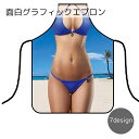 送料無料 グラフィックエプロン 男女兼用 レディース メンズ キッチン用品 フリーサイズ 面白い ギャグ セクシー お手軽 コスプレ風