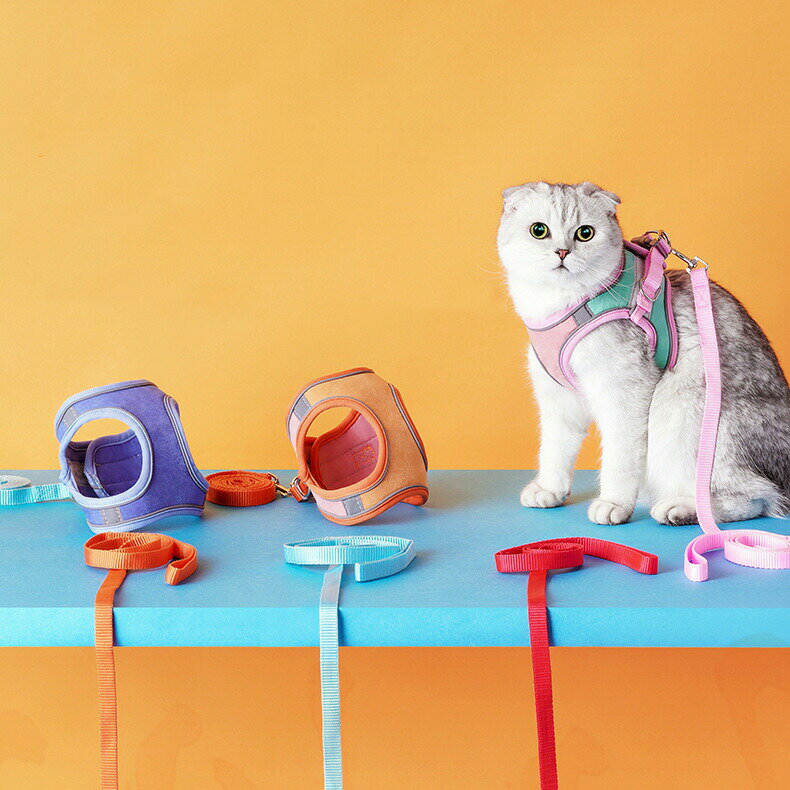 送料無料 猫用ハーネス リード ペットウエア キャットウェア ベスト リード付き ハーネスリードセット ネコ 災害対策 通院 病院 反射材付き 避難 夜間 早朝 散歩用品 おさんぽ 目立つ かわいい カラフル 光る 3