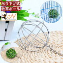送料無料 牧草ボール ボール型 吊り下げ式 小動物用食器 ウサギ用 ペット用品 エサ入れ 牧草入れ 給餌ボール 球体 フック付き うさぎ モルモット ペットグッズ