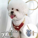 送料無料 ハーネス リード 2点セット 犬用 猫用 ペット用品 胴輪 裏メッシュ 蝶ネクタイ リーシュ ナスカン 犬猫兼用 散歩 お出かけ ペットグッズ ストラ...