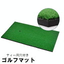 送料無料 ゴルフマット ショットマット 30×60cm ゴルフ練習 トレーニング用品 穴付き スイング ドライバー アイアン パター 自宅 室内 屋内 屋外 人工芝 スポーツ用品