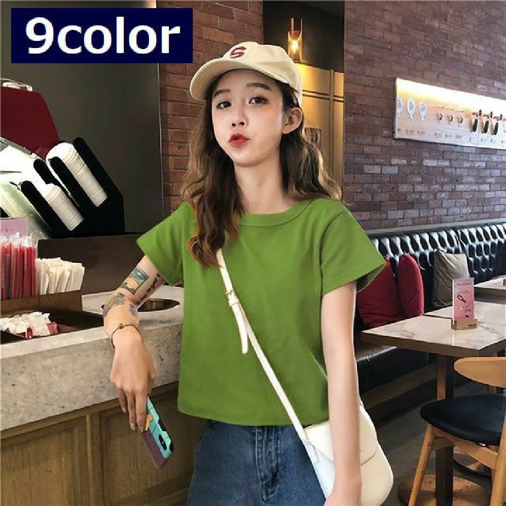 送料無料 半袖Tシャツ レディース 婦人服 カットソー トップス ラウンドネック シンプル 無地 ショート丈 丈短め カジュアル おしゃれ