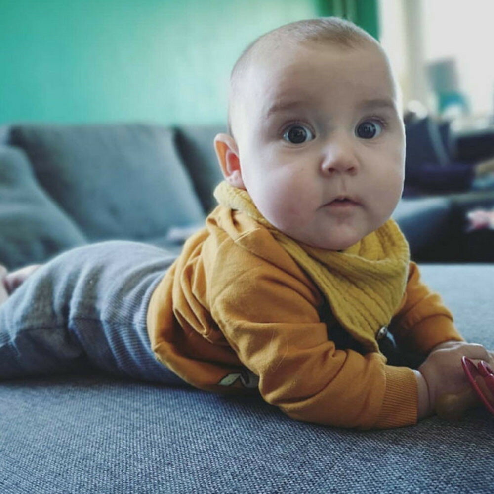 ����̵�� ������ �ӥ� ����줫�� ޷�ݤ� �٥ӡ� �֤���� �ˤλ� ���λ� �Х���� �ܥ��� ̵�� ñ�� ������� ����Х�˭��